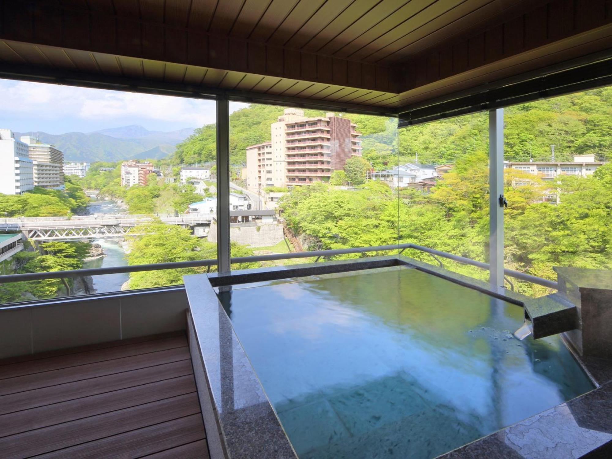 ניקו Kinugawa Plaza Hotel חדר תמונה